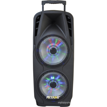 Professional Double 10inche Big Power Recharged Bluetooth Loudspeaker for Stage Party Karaoke 80W F73D